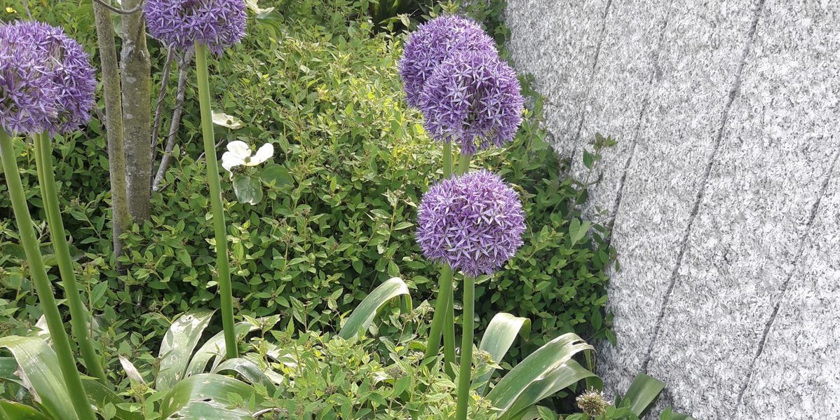 Arbeitsrecht in Stuttgart