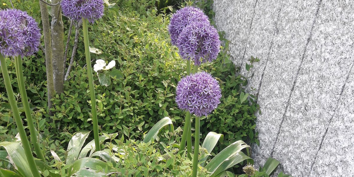 Arbeitsrecht in Stuttgart Arbeitsrecht in Stuttgart