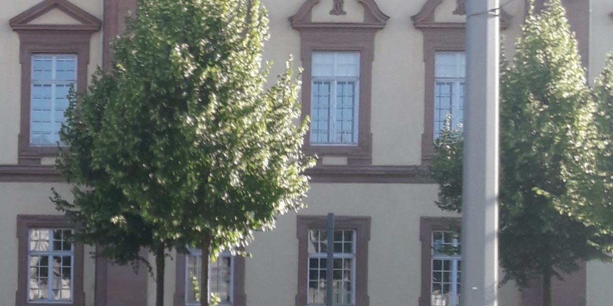 Anwalt für Arbeitsrecht / Mannheim Anwalt für Arbeitsrecht / Mannheim