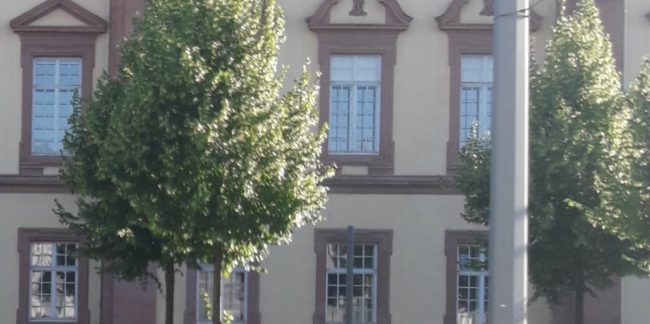 Anwalt für Arbeitsrecht / Mannheim Anwalt für Arbeitsrecht / Mannheim