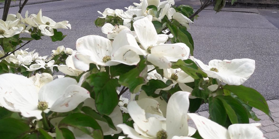 Entgeltfortzahlung: Anwalt für Arbeitsrecht erklärt den Sachverhalt