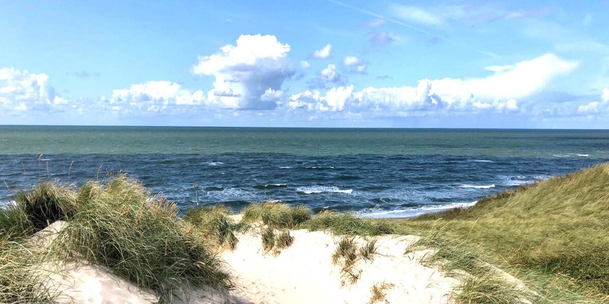 Jahresurlaub / Arbeitsrecht Stuttgart Jahresurlaub / Arbeitsrecht Stuttgart